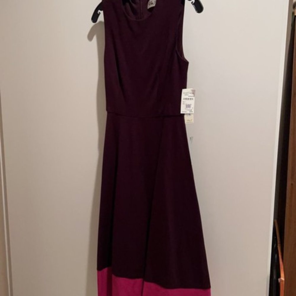 Burgundy with Contrast Work/Office Dress